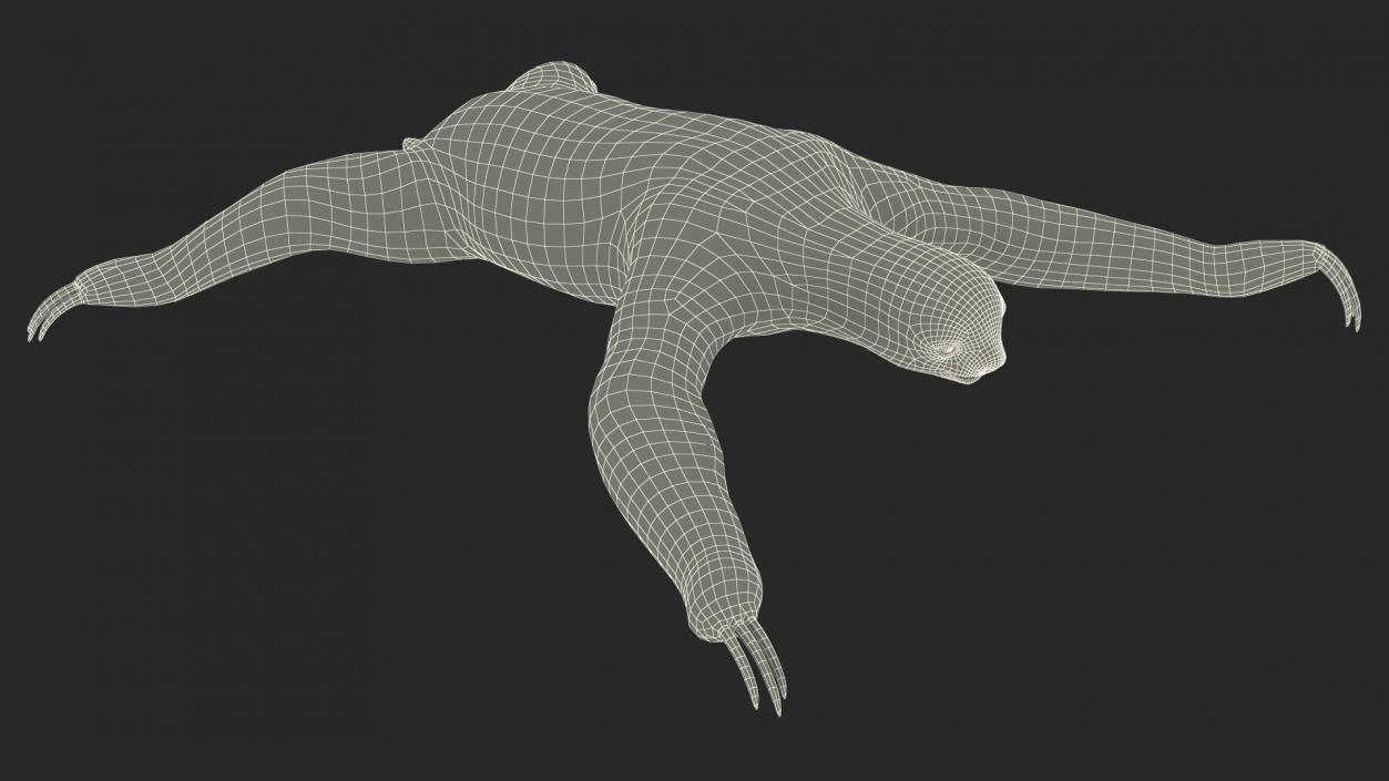 Sloth 3D model