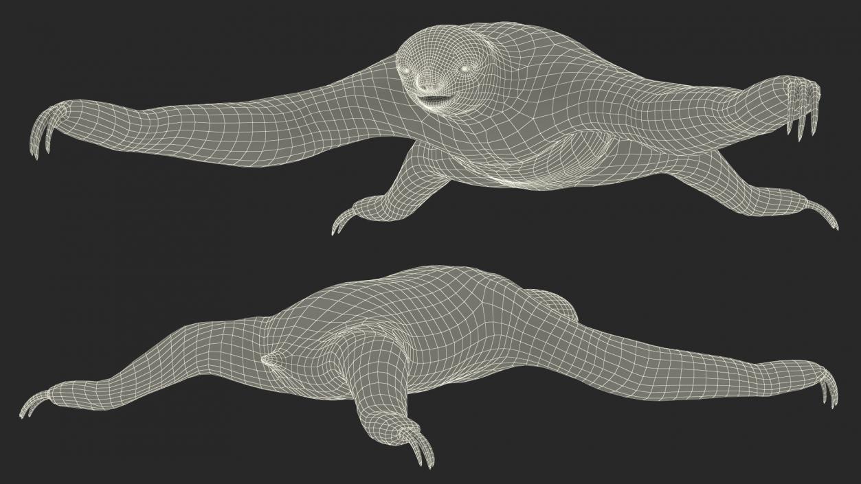 Sloth 3D model