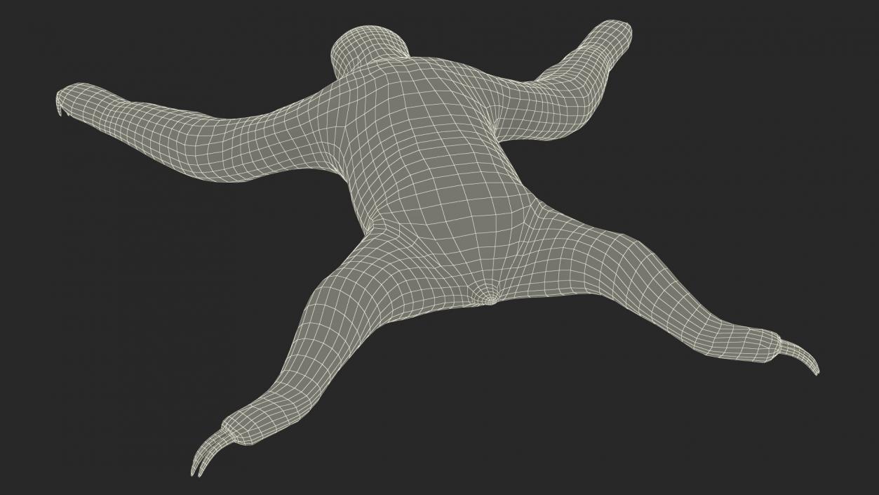 Sloth 3D model