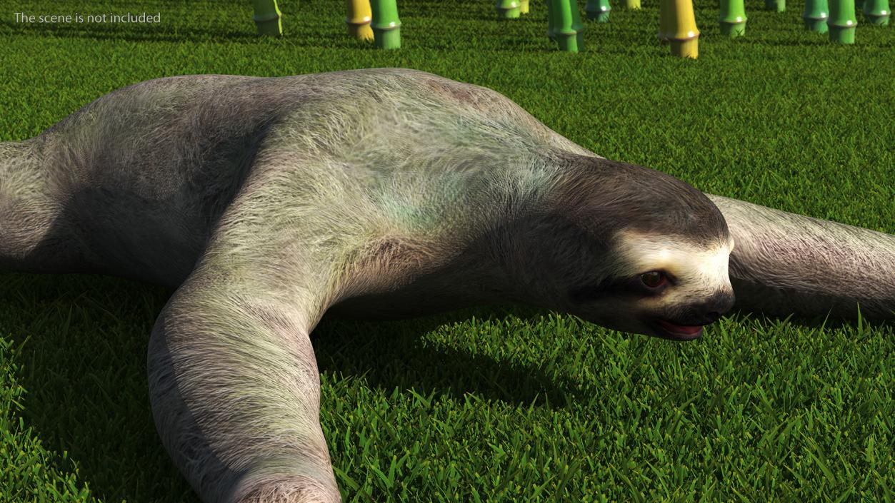 Sloth 3D model