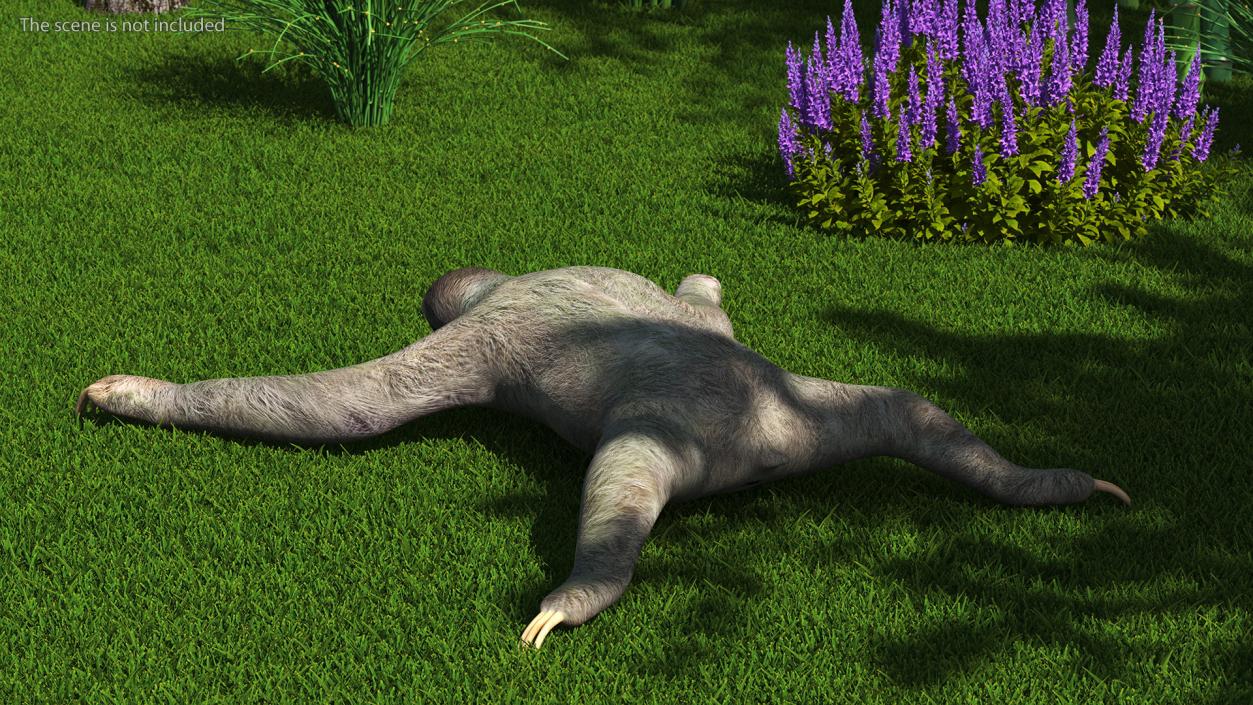 Sloth 3D model