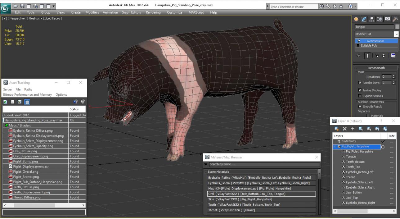 Hampshire Pig Piglet Standing Pose 3D model