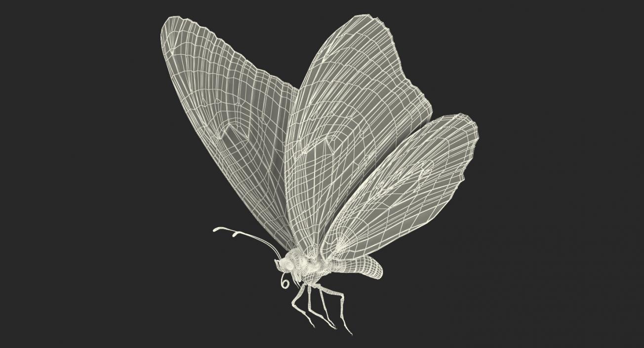 Monarch Butterfly Rigged 3D model