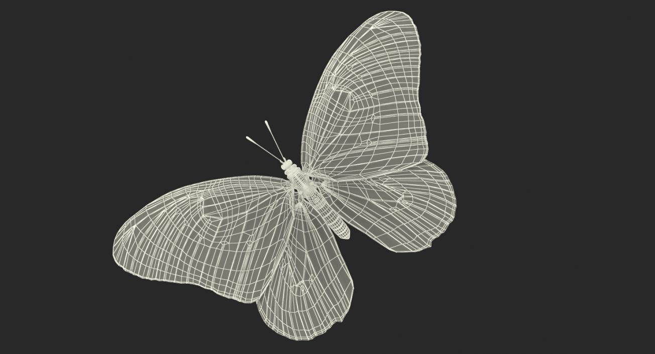 Monarch Butterfly Rigged 3D model