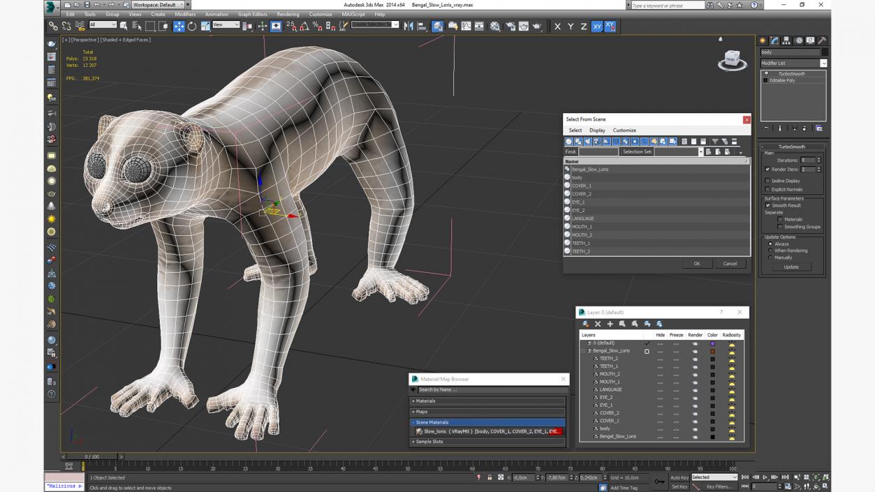 Bengal Slow Loris 3D