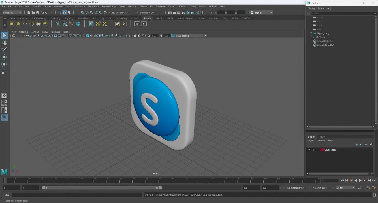 Skype Icon 2 3D