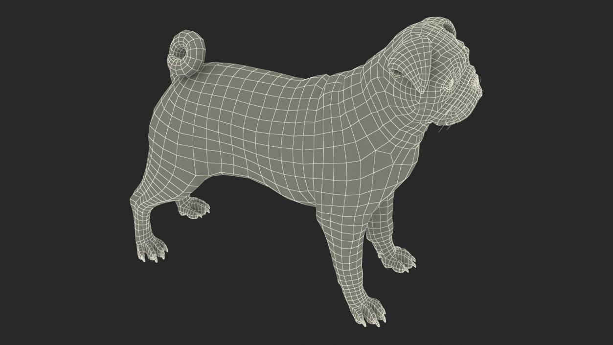 Dogs Rigged Collection 3 3D model