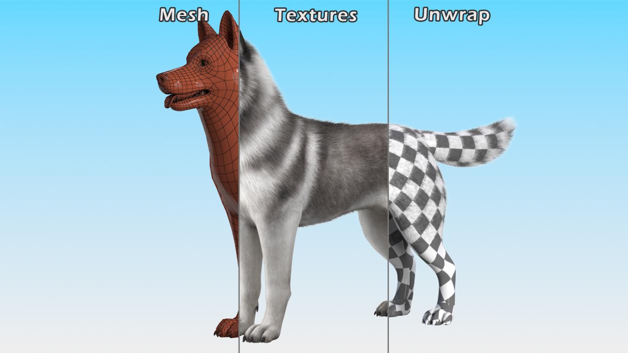 Dogs Rigged Collection 3 3D model