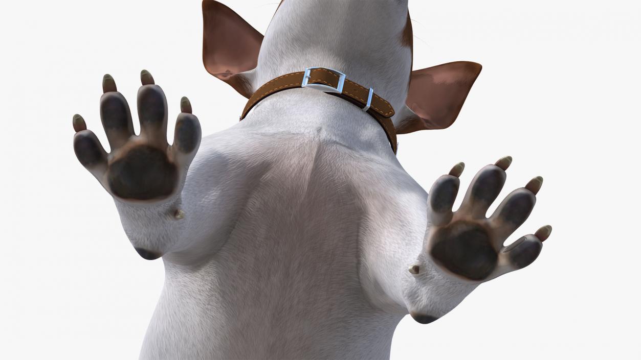 Dogs Rigged Collection 3 3D model