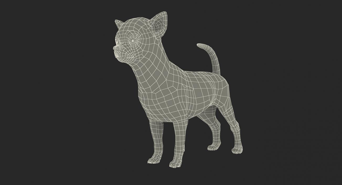 Dogs Rigged Collection 3 3D model