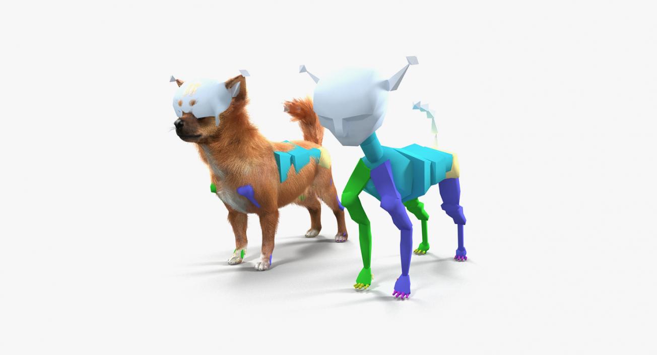 Dogs Rigged Collection 3 3D model