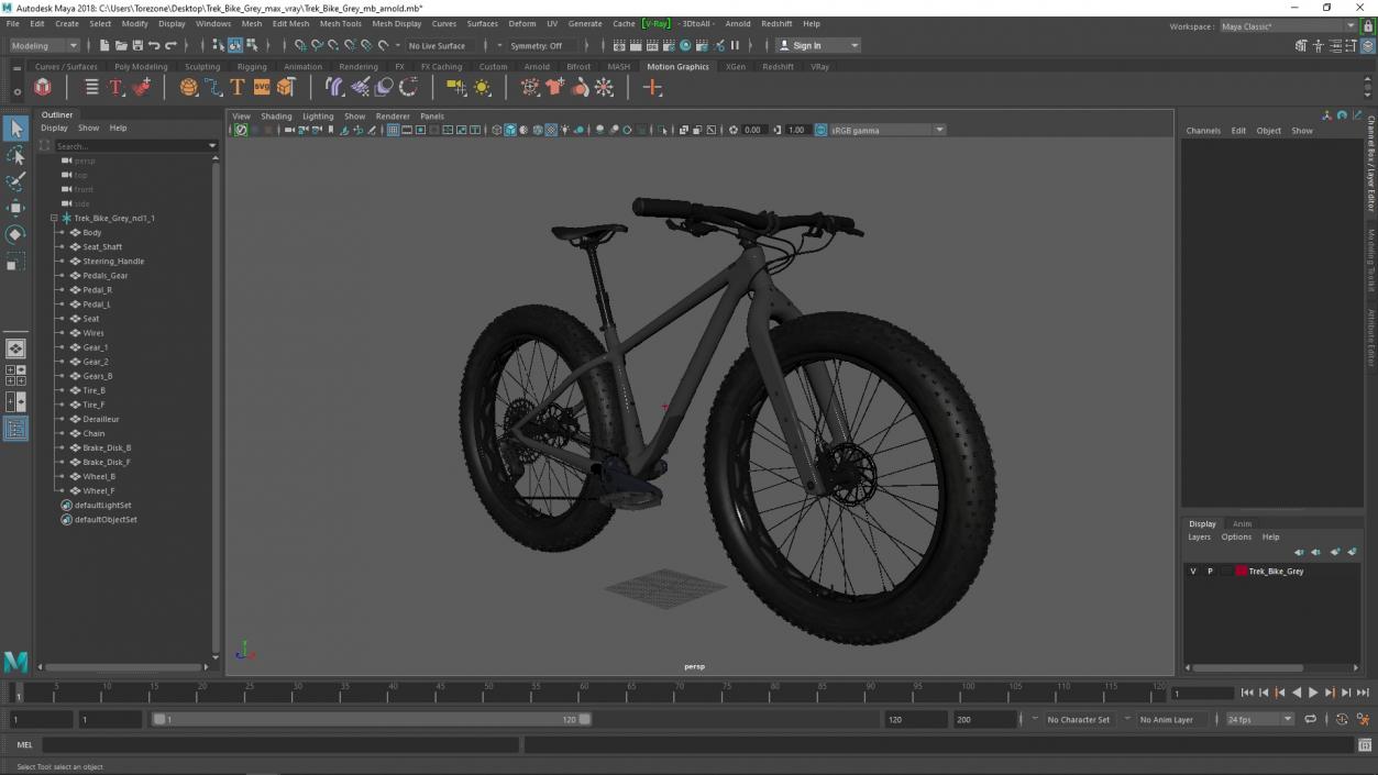 3D Trek Bike Grey 2