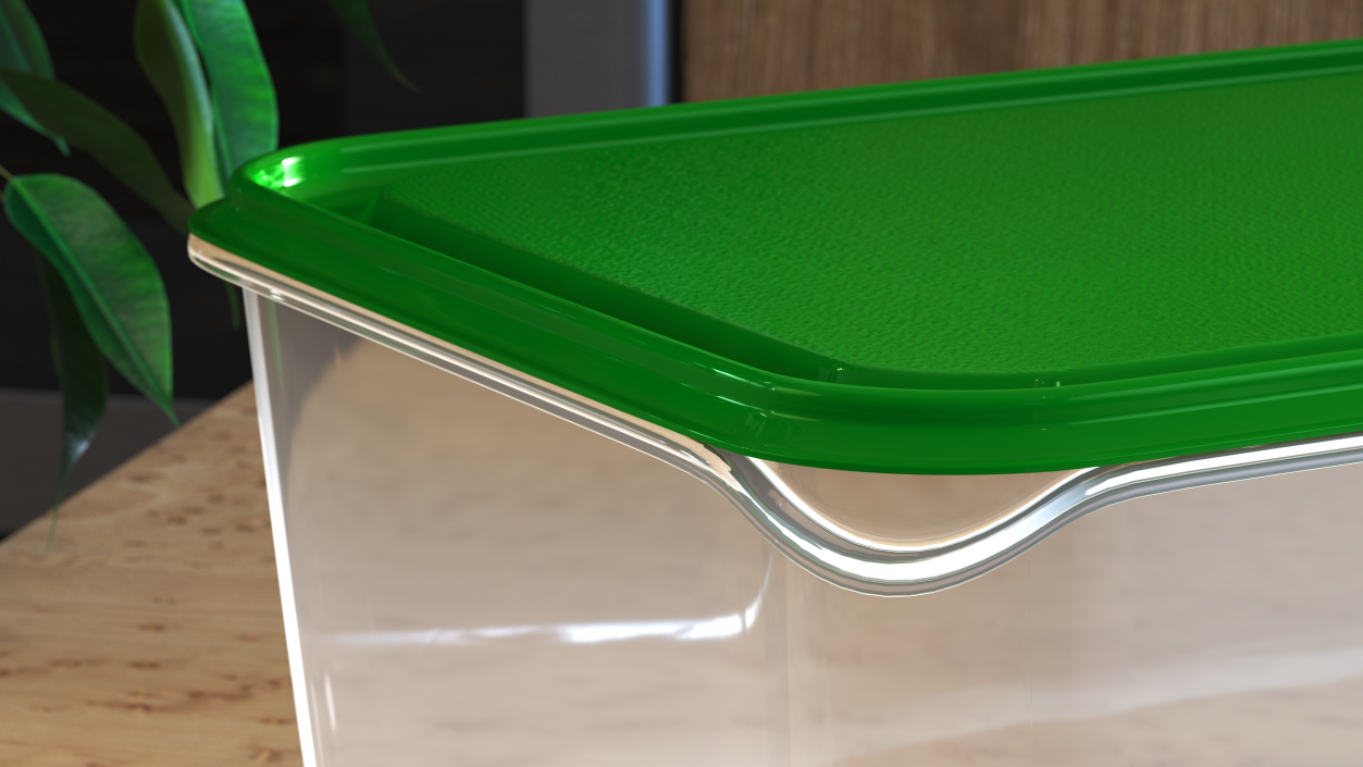 Rectangular Polypropylene Food Container with Lid 3D model