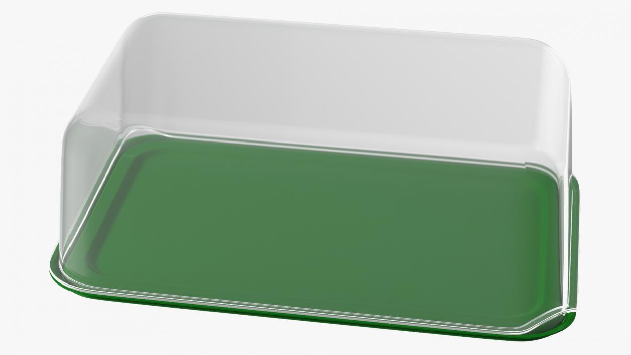 Rectangular Polypropylene Food Container with Lid 3D model