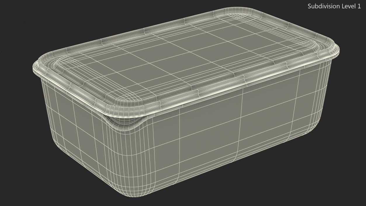 Rectangular Polypropylene Food Container with Lid 3D model