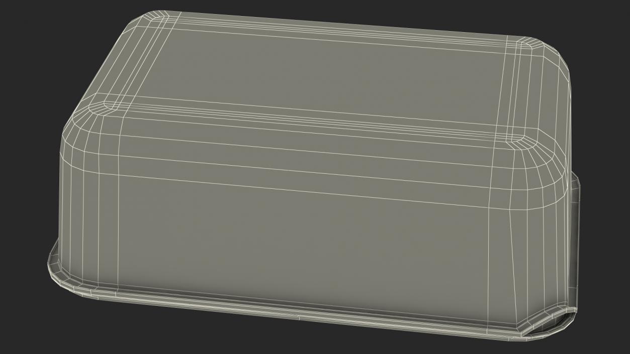 Rectangular Polypropylene Food Container with Lid 3D model