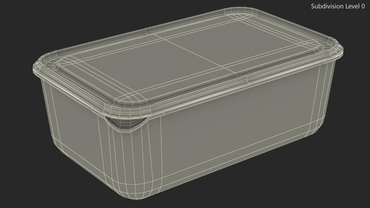 Rectangular Polypropylene Food Container with Lid 3D model