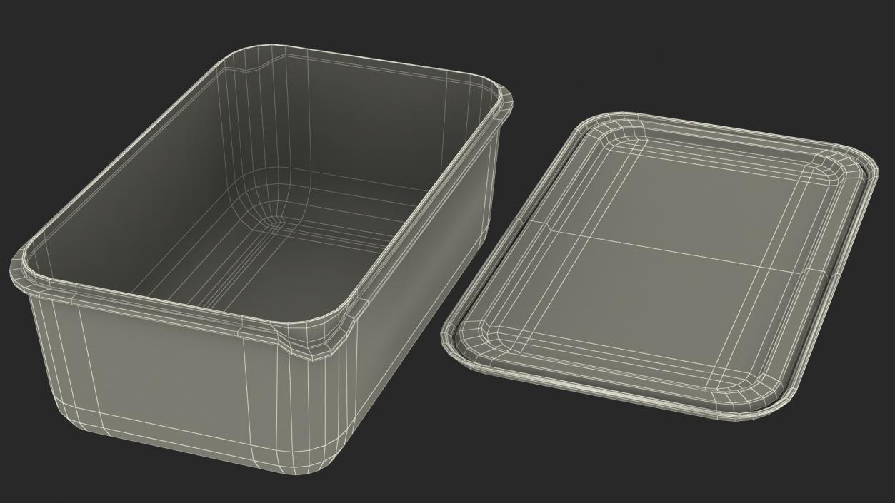 Rectangular Polypropylene Food Container with Lid 3D model