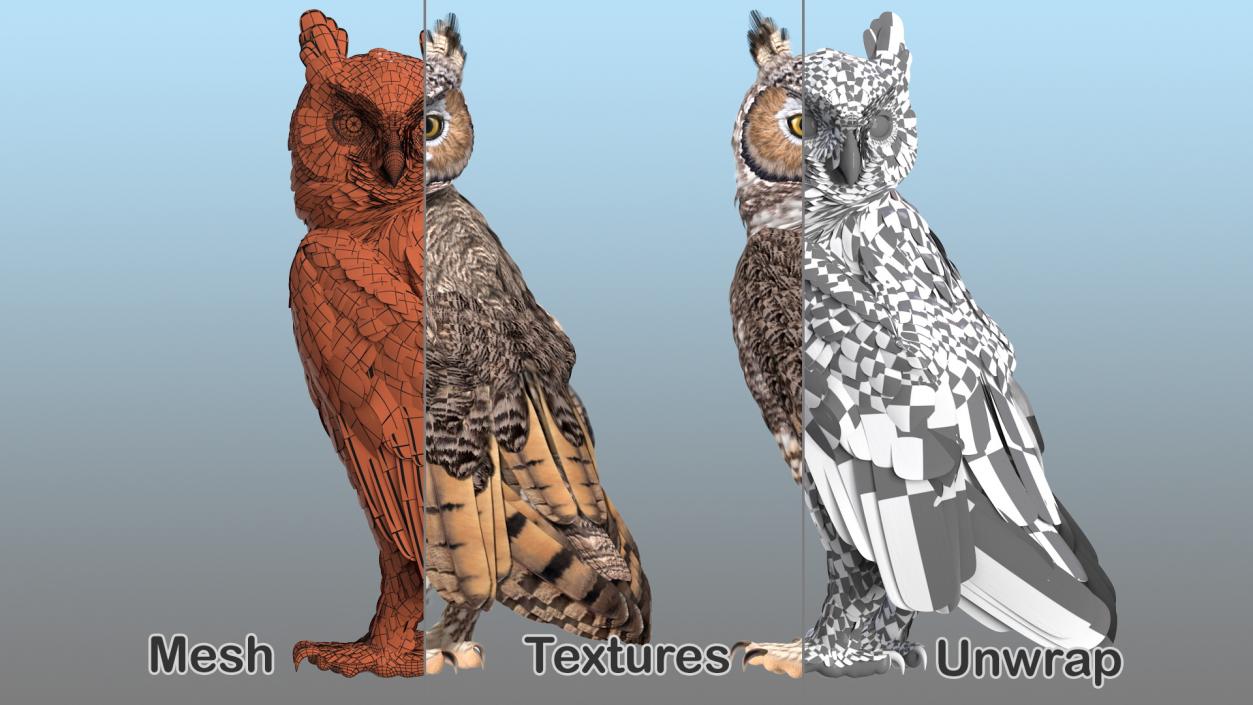 3D model Owls Collection