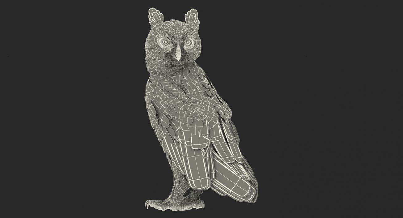 3D model Owls Collection