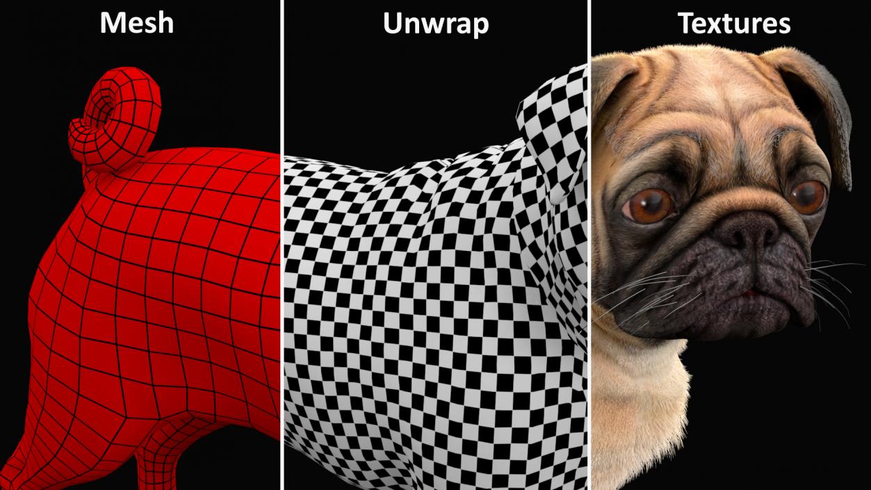 3D Pug Dog Fur