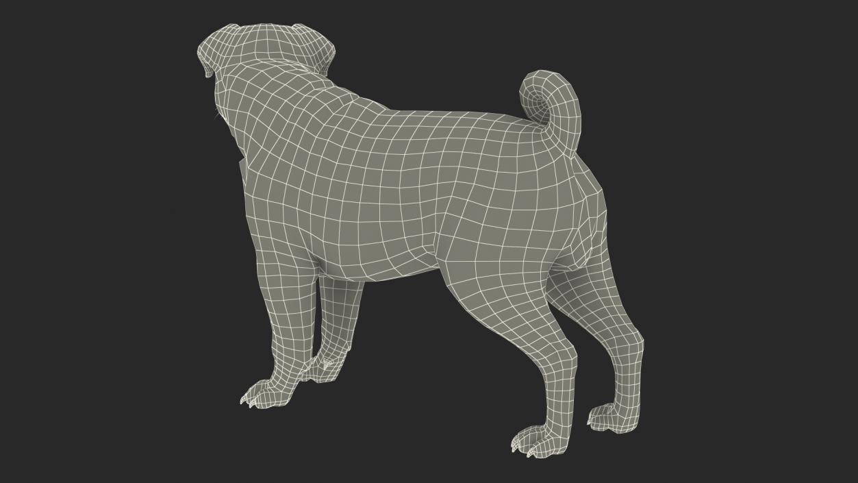 3D Pug Dog Fur