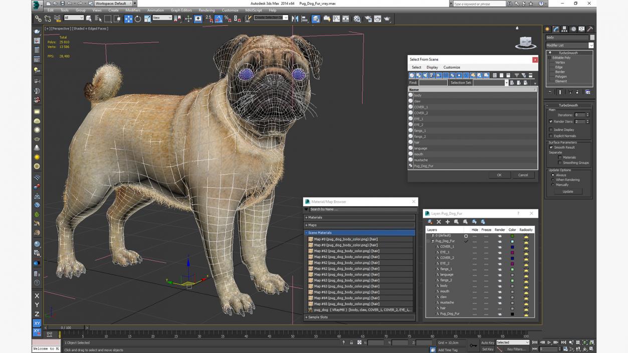 3D Pug Dog Fur