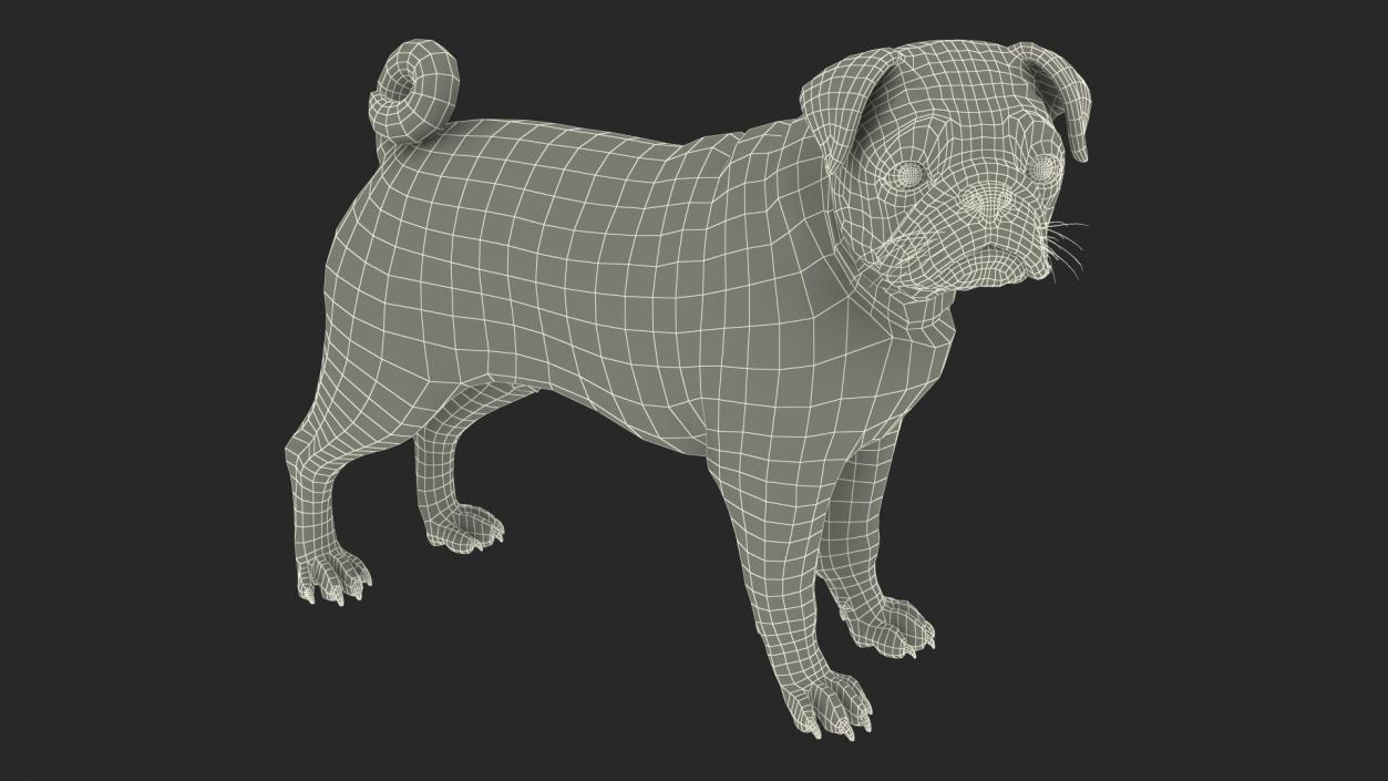 3D Pug Dog Fur