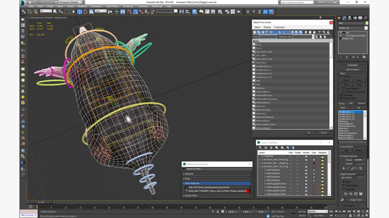 3D European Mole Animal Rigged for Cinema 4D