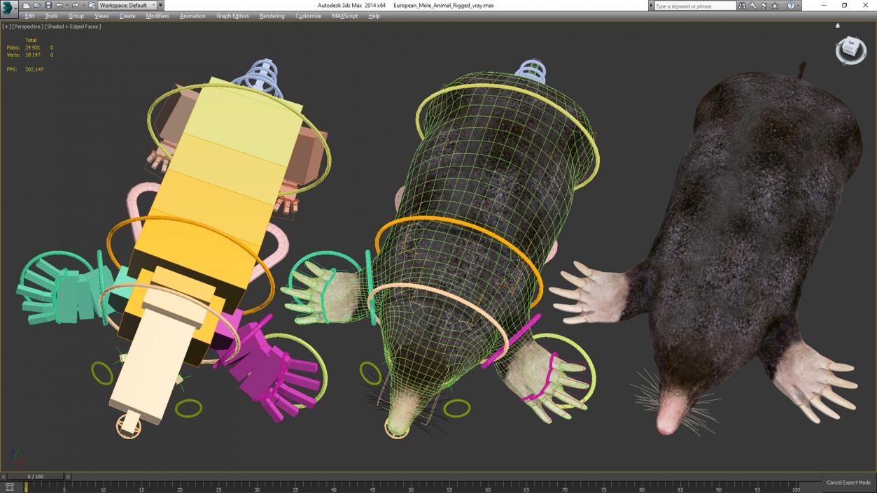 3D European Mole Animal Rigged for Cinema 4D