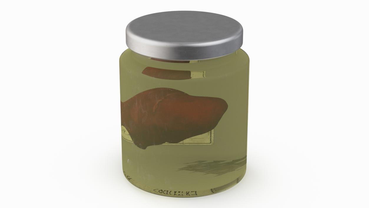 3D Human Liver Organ in a Jar 2 model