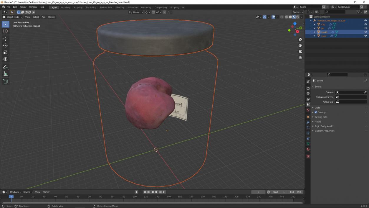 3D Human Liver Organ in a Jar 2 model