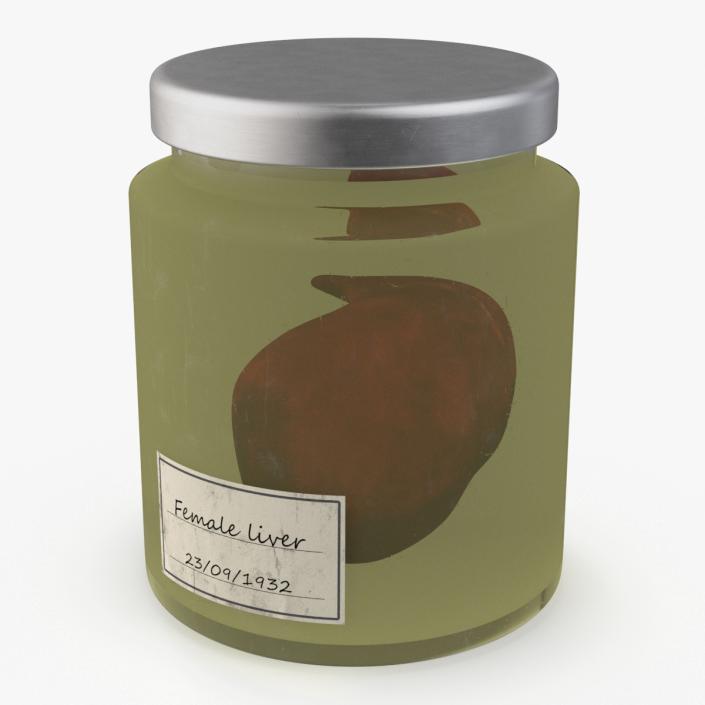 3D Human Liver Organ in a Jar 2 model