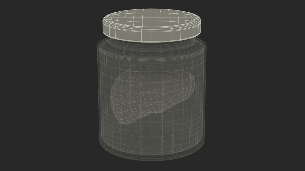 3D Human Liver Organ in a Jar 2 model