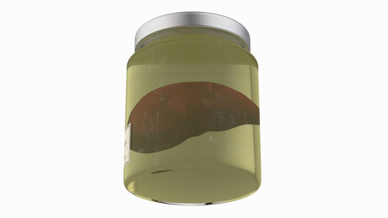 3D Human Liver Organ in a Jar 2 model