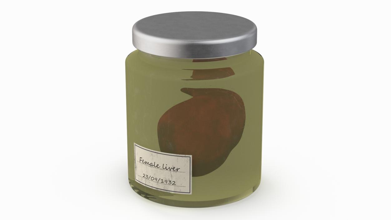 3D Human Liver Organ in a Jar 2 model