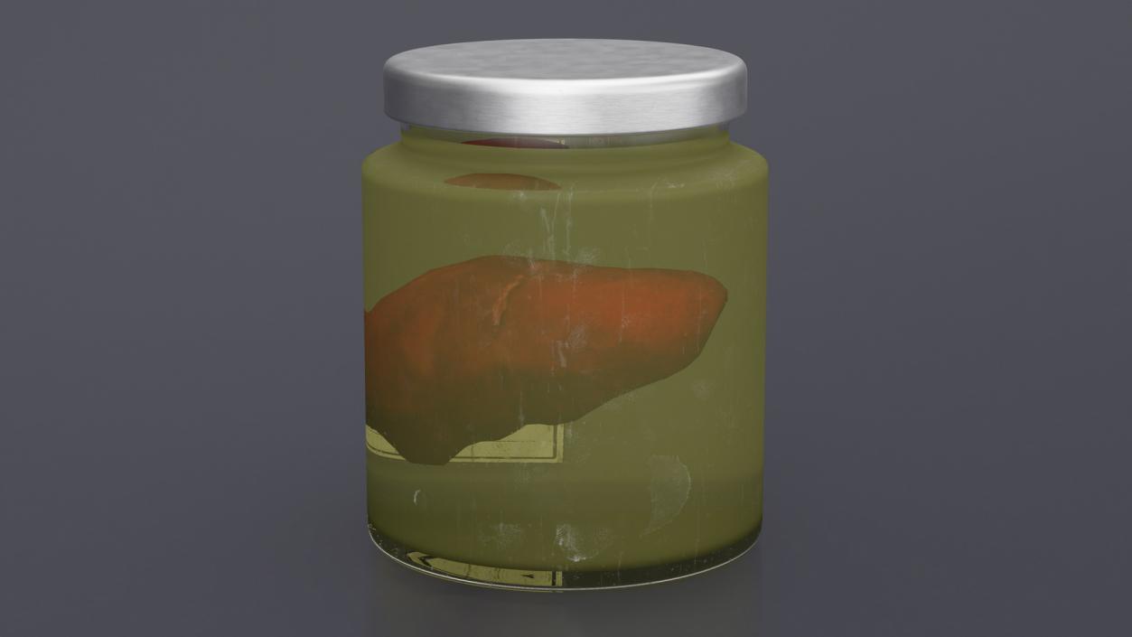 3D Human Liver Organ in a Jar 2 model