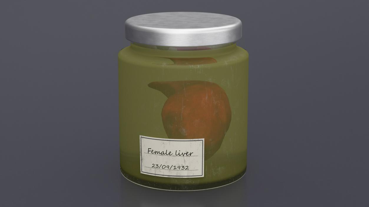 3D Human Liver Organ in a Jar 2 model