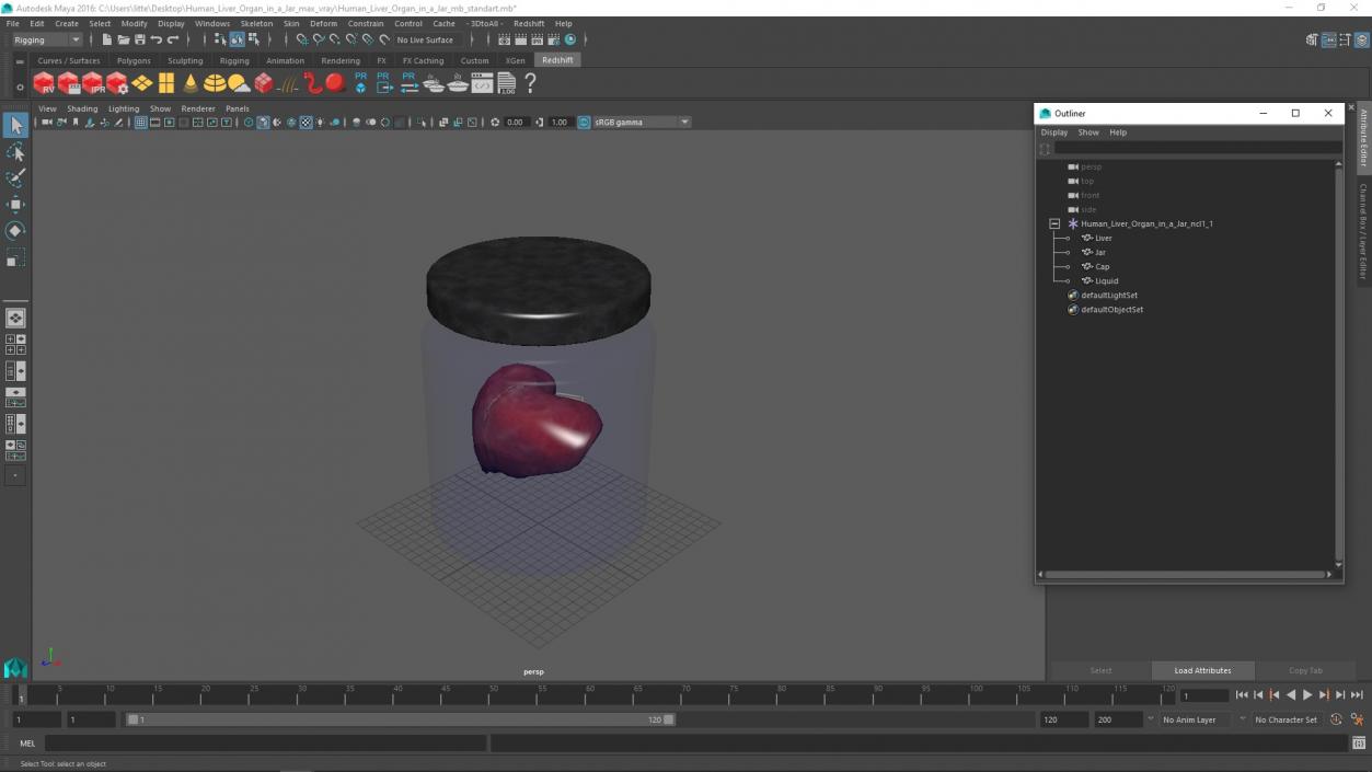 3D Human Liver Organ in a Jar 2 model