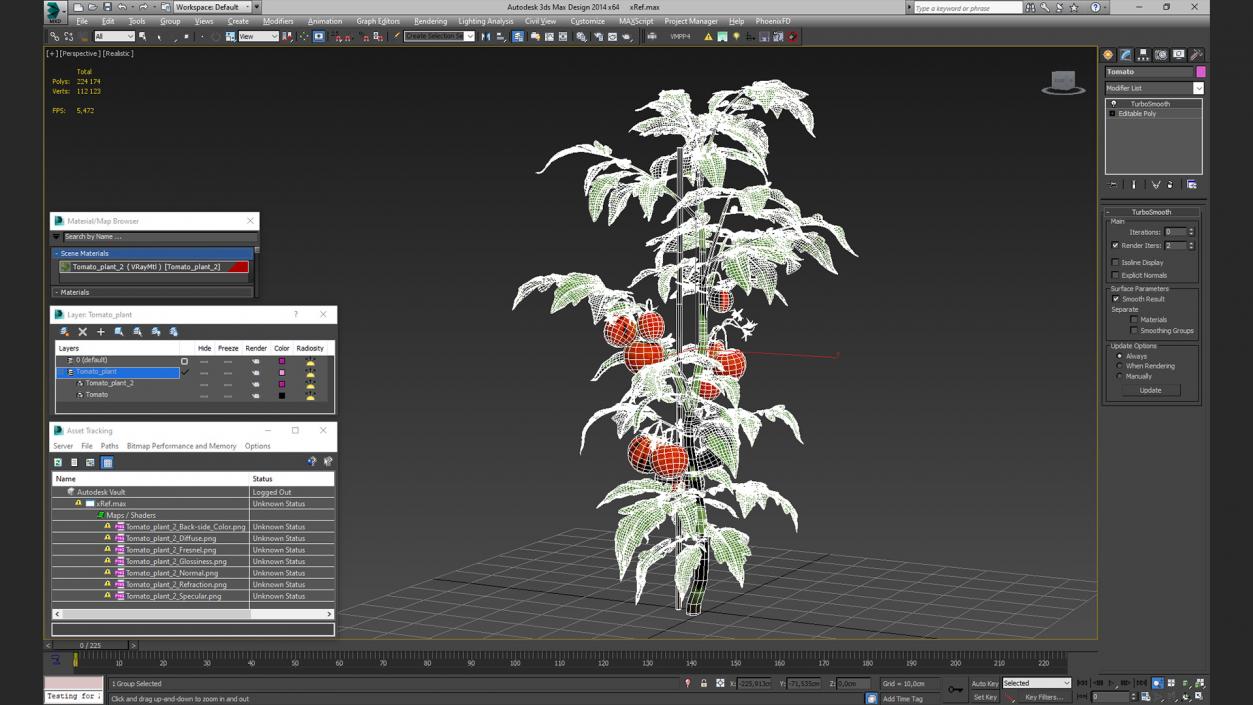 Tomatoes Fruits and Flowers 3D