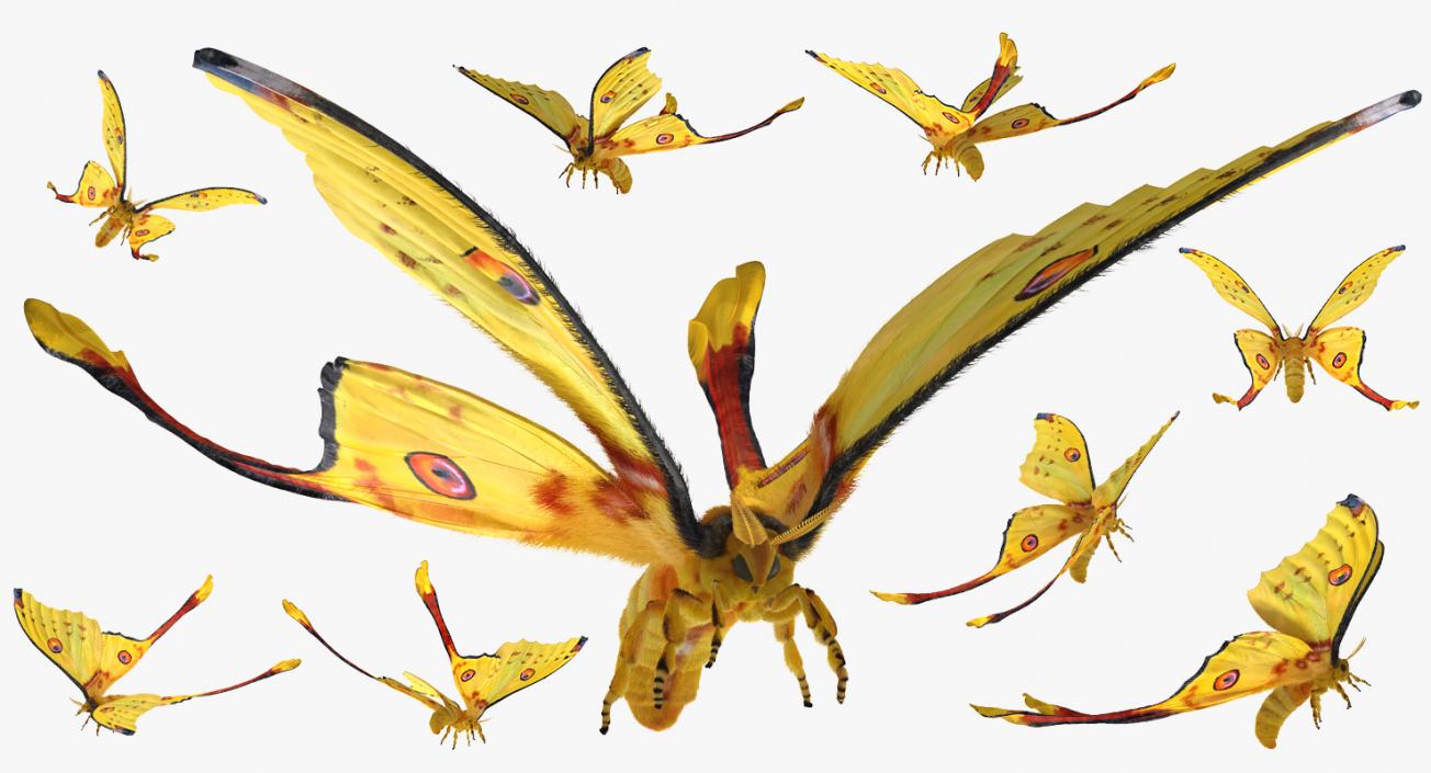 3D Comet Moth Flying Pose with Fur