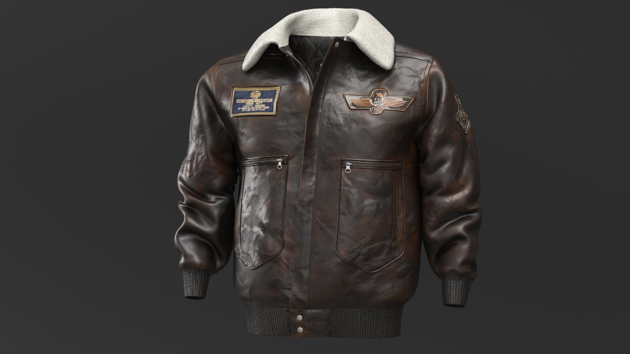 Aviator Jacket 3D model