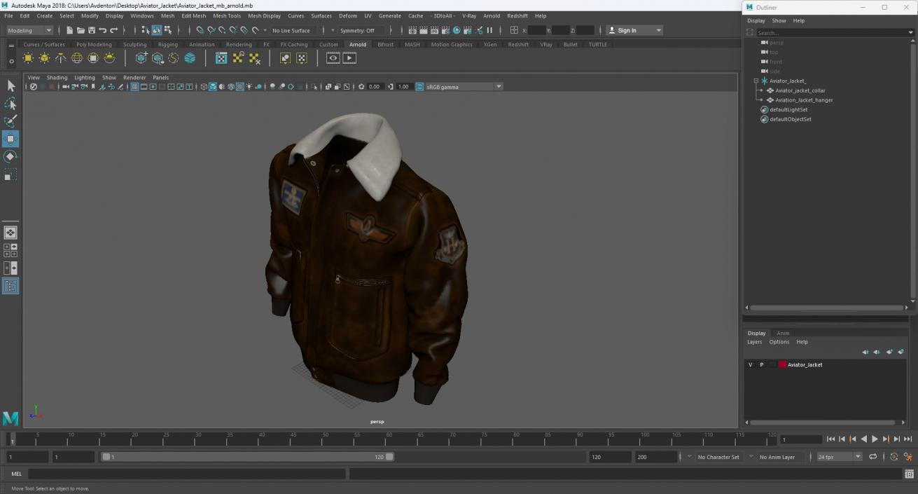 Aviator Jacket 3D model