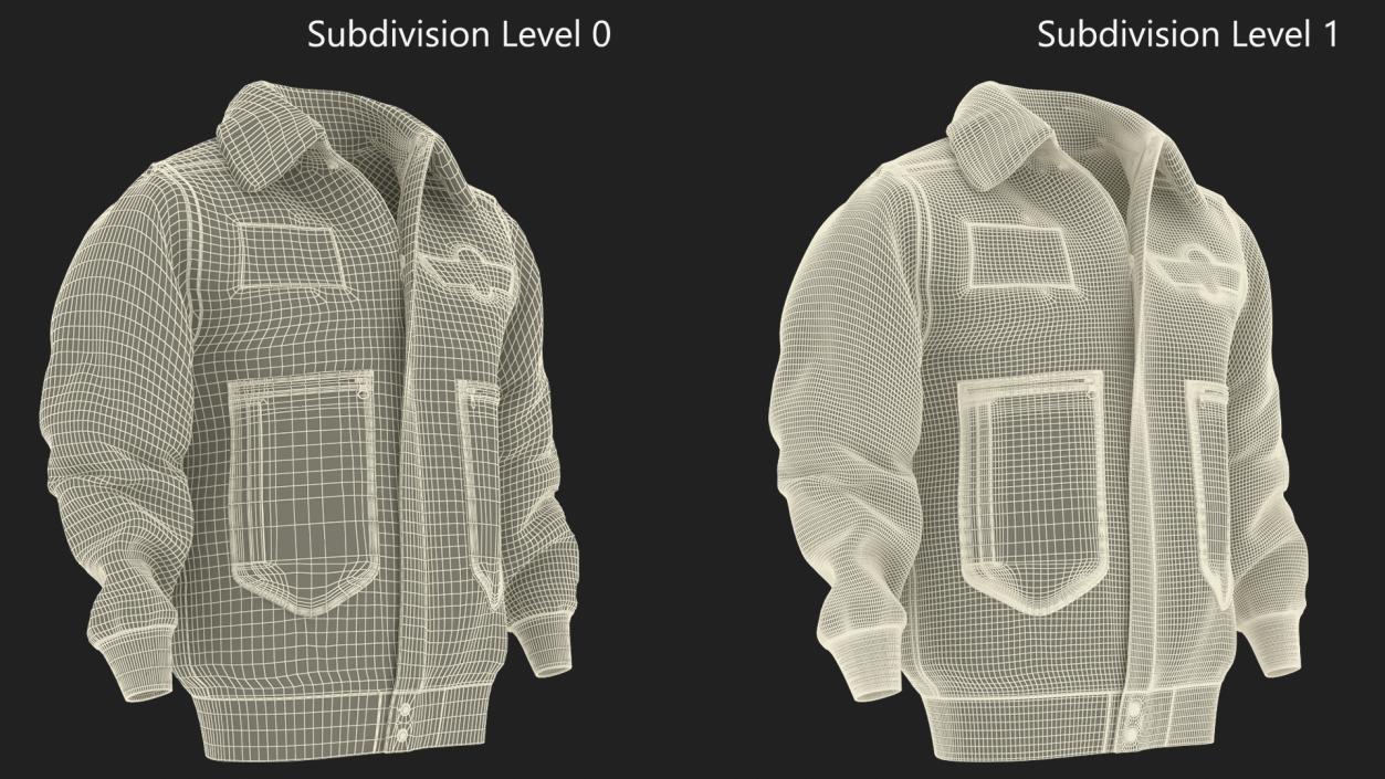 Aviator Jacket 3D model