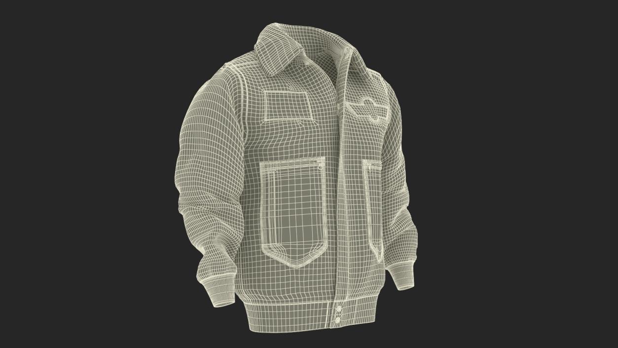 Aviator Jacket 3D model