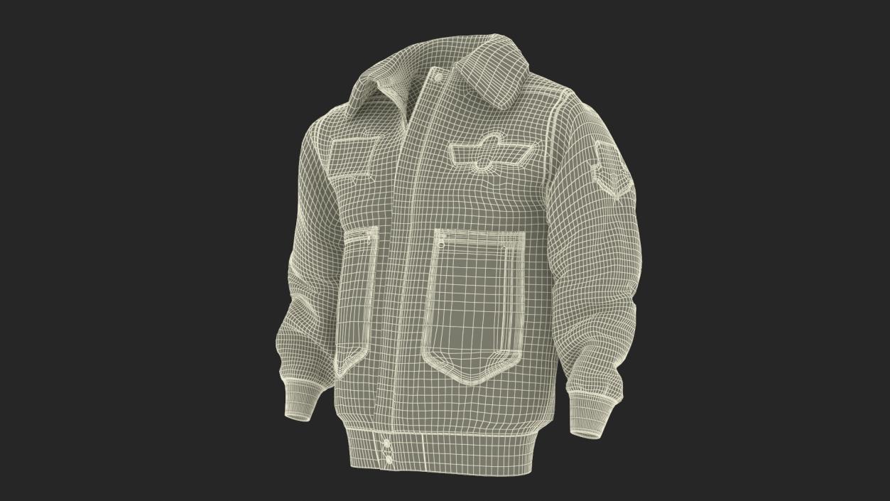 Aviator Jacket 3D model