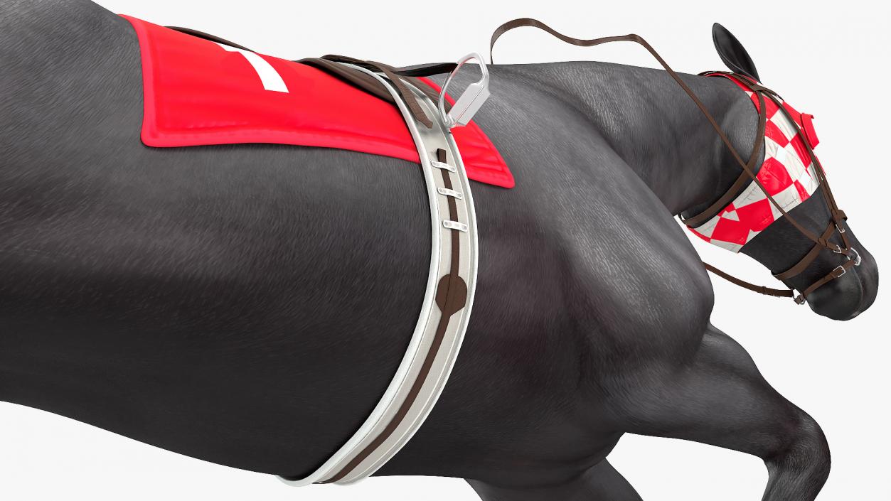 Racehorse Black Rigged 3D