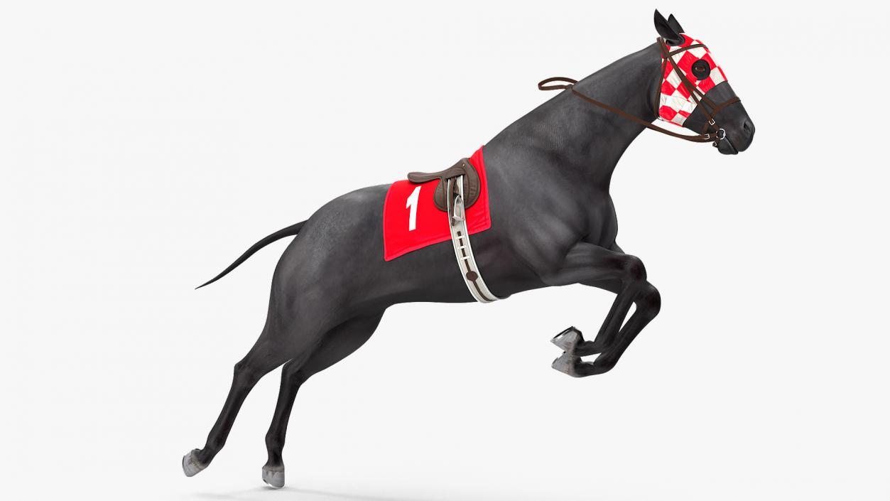 Racehorse Black Rigged 3D