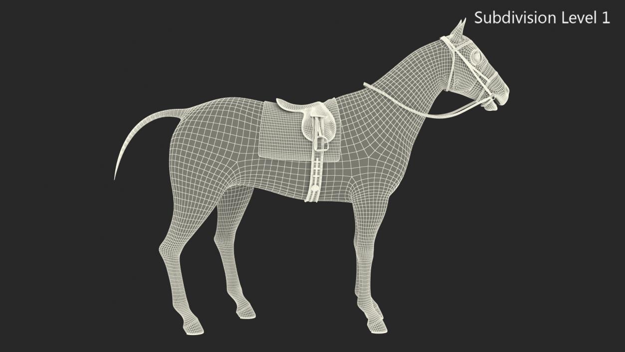 Racehorse Black Rigged 3D