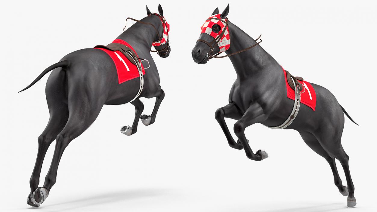 Racehorse Black Rigged 3D